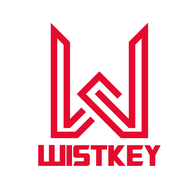 Senior Software Developer Wistkey Ltd